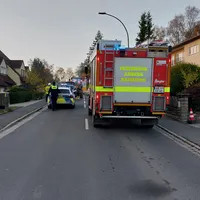20241116_074151.jpg