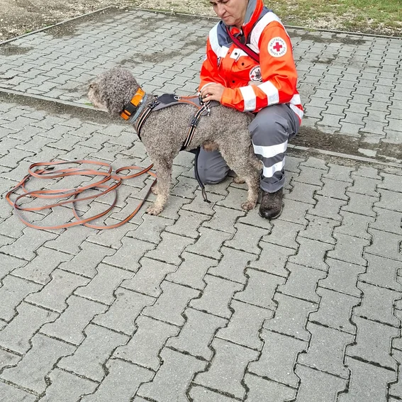 Juli-Hundestaffel (3).JPG