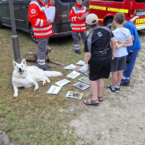Juli-Hundestaffel (8).JPG