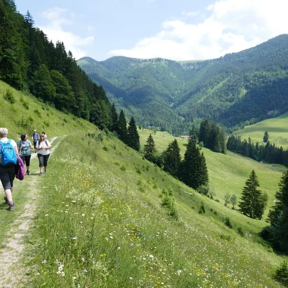 Wandern.jpg